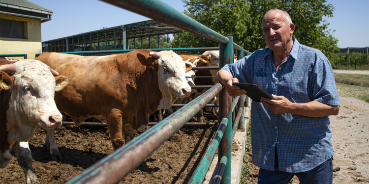 Acordo Mercosul–UE amplia desafios e impõe novas exigências ao agro brasileiro