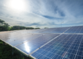 Cooperativa europeia de laticínios completa transição para energia renovável