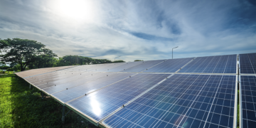 Cooperativa europeia de laticínios completa transição para energia renovável 9 Cooperativa europeia de laticínios completa transição para energia renovável