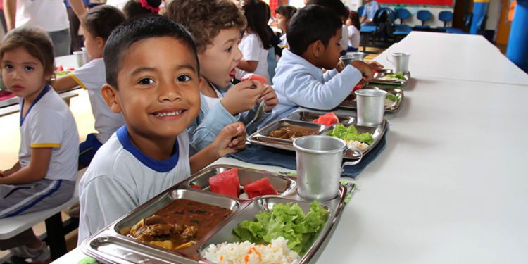 Merenda escolar no Amazonas será abastecida por 83 cooperativas da agricultura familiar por 12 meses 1 Merenda escolar no Amazonas será abastecida por 83 cooperativas da agricultura familiar por 12 meses