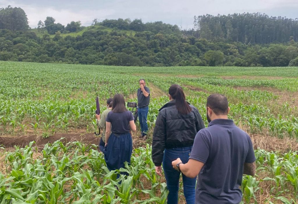 Cooperativa financeira fortalece sustentabilidade no campo com projetos de remoção de carbono 3 Projeto visita cooperados para desenvolvimento de sustentabilidade 3 1024x703 1