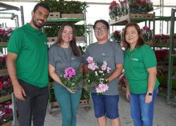 Cooperativa Sicredi Progresso eleva em 300% investimentos de associados com assessoria especializada