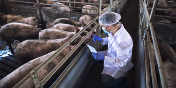 Automação e IA avançam no agro e ampliam produtividade em cooperativas 11 Automação e IA avançam no agro e ampliam produtividade em cooperativas