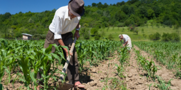 Serasa aponta desaceleração na inadimplência do agronegócio no 3º trimestre 9 Seguro Rural 1