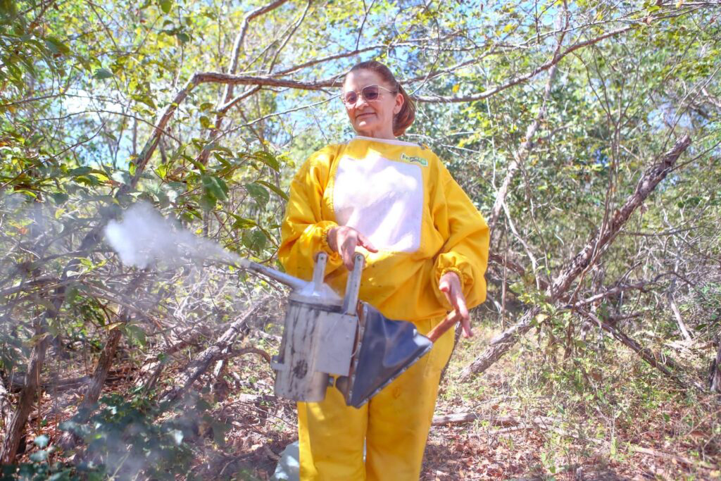 Programa de fortalecimento de cooperativas no Piauí supera metas e consolida nova fase do setor 4 ad3855b3 0dd1 45df a1bb 68750f79adb4 1024x683 copiar 1