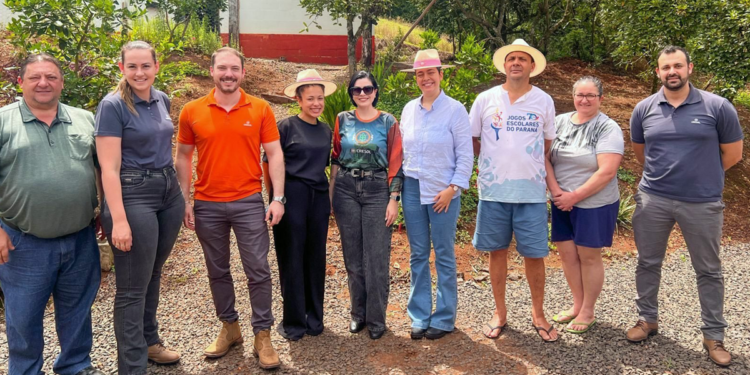 Cooperativa financeira fortalece sustentabilidade no campo com projetos de remoção de carbono 1 Cooperativa financeira fortalece sustentabilidade no campo com projetos de remoção de carbono