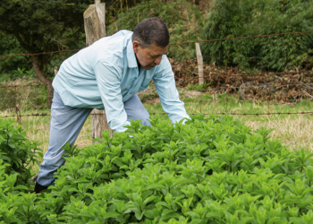 Reforma tributária amplia carga sobre o agro e expõe risco estrutural ao setor 2 Reforma tributária amplia carga sobre o agro e expõe risco estrutural ao setor