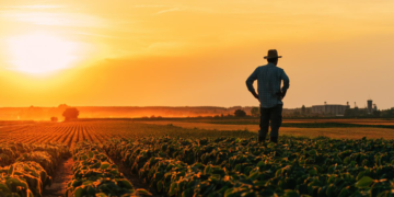 Cooperativas agro projetam 2026 de investimentos e expansão da produção