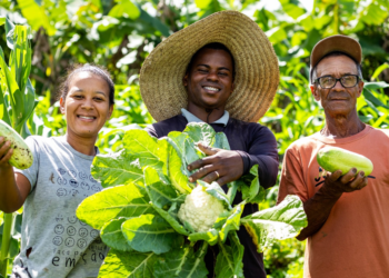 Crédito de ICMS amplia fôlego financeiro no campo, mas ainda é ignorado por produtores