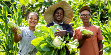 Crédito de ICMS amplia fôlego financeiro no campo, mas ainda é ignorado por produtores