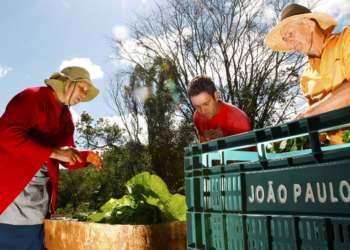 Programa Coopera Paraná atinge recorde e amplia apoio à agricultura familiar