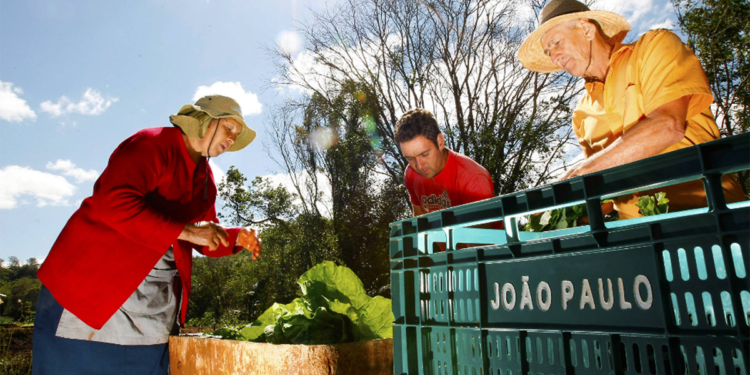Programa Coopera Paraná atinge recorde e amplia apoio à agricultura familiar 1 Programa Coopera Paraná atinge recorde e amplia apoio à agricultura familiar