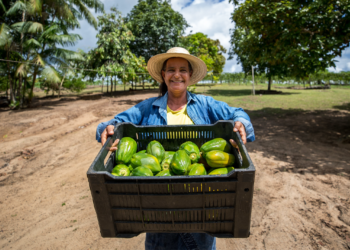Cooperativa COAFRA consolida crescimento e gera renda para a agricultores paraenses