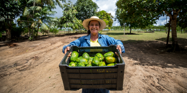 Cooperativa COAFRA consolida crescimento e gera renda para a agricultores paraenses