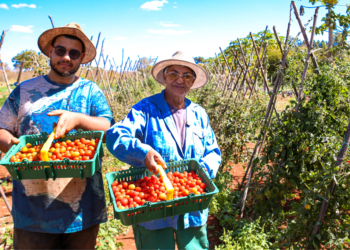 Câmara aprova uso do Fundo Garantidor para ampliar crédito do Pronaf 2 Câmara aprova uso do Fundo Garantidor para ampliar crédito do Pronaf