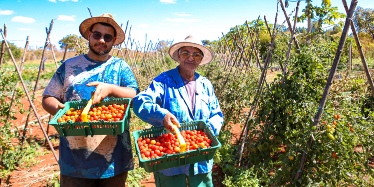 Câmara aprova uso do Fundo Garantidor para ampliar crédito do Pronaf