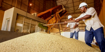 Sustentabilidade é passaporte para o agro brasileiro nos mercados da UE