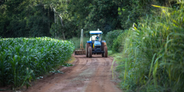 Prazo para pedidos de liquidação de dívidas rurais pelo BNDES acaba hoje (6) 8 Prazo para pedidos de liquidação de dívidas rurais pelo BNDES acaba hoje (6)
