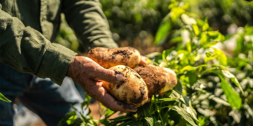 PepsiCo estrutura modelo de agricultura regenerativa com cooperativas na economia circular