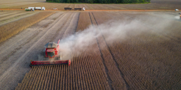 Conab projeta safra recorde de 353,4 milhões de toneladas em 2025/26