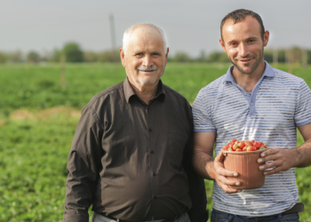 Cooperativas de crédito reforçam proximidade com produtores diante de juros altos