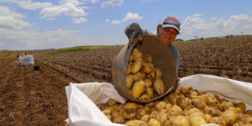 Agronegócio bateu recorde de empregos no terceiro trimestre de 2025