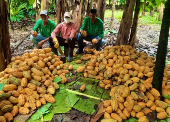 Edital do Fundo Amazônia destina R$ 80 milhões a cooperativas e associações da Amazônia Legal