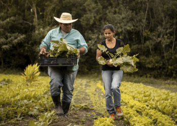 BNDES já aprovou R$ 7,2 bi para produtores rurais impactados por eventos climáticos