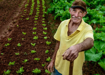 Sete tendências tecnológicas devem moldar o cooperativismo agropecuário