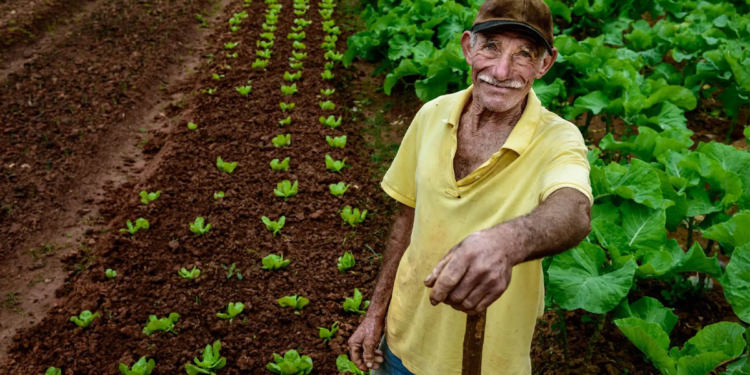 Transformação digital redefine nova fase do cooperativismo agropecuário 1 Sete tendências tecnológicas devem moldar o cooperativismo agropecuário