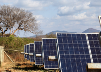 Universidade Cooperativa do Quênia planeja desenvolver energia solar para abastecer a rede elétrica
