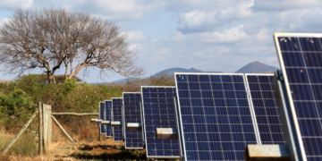 Universidade Cooperativa do Quênia planeja desenvolver energia solar para abastecer a rede elétrica