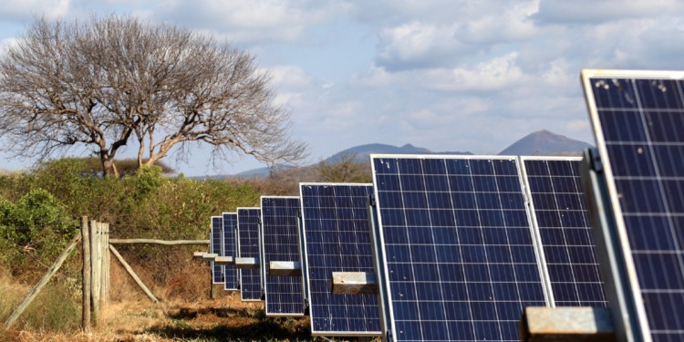 Universidade Cooperativa do Quênia planeja desenvolver energia solar para abastecer a rede elétrica