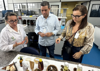 Sistema OCB/AM e CBA alinham parceria para desenvolver negócios da bioeconomia amazônica