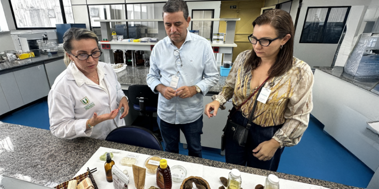 Sistema OCB/AM e CBA alinham parceria para desenvolver negócios da bioeconomia amazônica