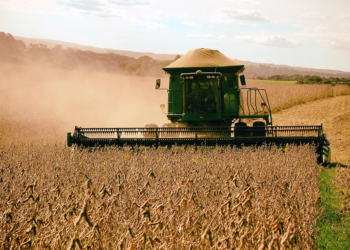 Sistema Ocepar coordena proposta conjunta do Paraná para o Plano Safra 2026/2027