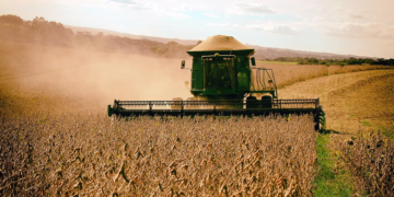 Sistema Ocepar coordena proposta conjunta do Paraná para o Plano Safra 2026/2027