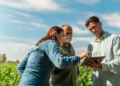 Transformação digital redefine nova fase do cooperativismo agropecuário