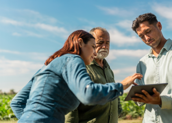 Crédito rural mantém expansão com apoio do cooperativismo financeiro 2 Crédito rural mantém expansão com apoio do cooperativismo financeiro