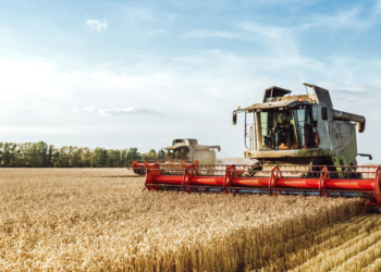 Cooperativas financeiras fortalecem crédito rural frente a juros altos 3 destaqu agro