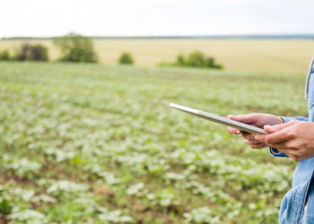 Agricultura em múltiplas telas: por que integrar dados virou a nova fronteira da eficiência no campo 6 Agricultura em múltiplas telas: por que integrar dados virou a nova fronteira da eficiência no campo