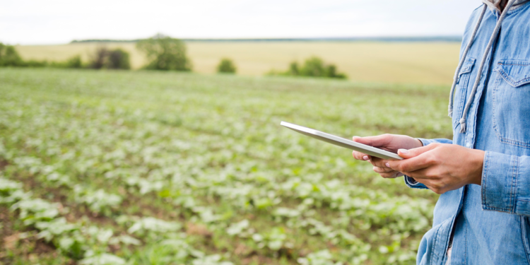 Agricultura em múltiplas telas: por que integrar dados virou a nova fronteira da eficiência no campo