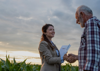 Crédito rural mantém expansão com apoio do cooperativismo financeiro