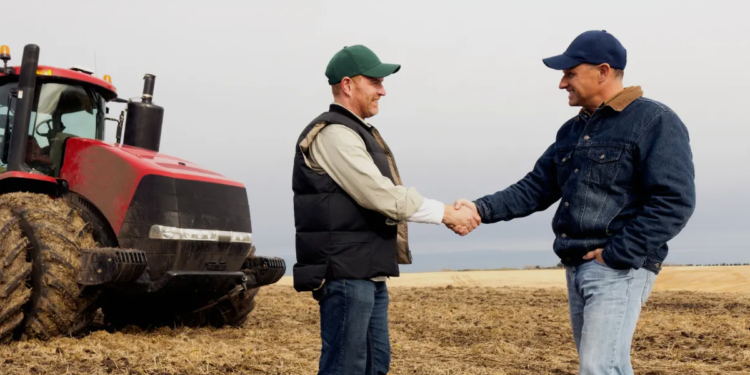 Crédito rural em ciclo de cautela leva cooperativas a reforçar proximidade com produtores