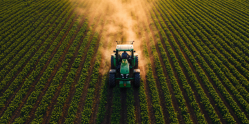 Agropecuária avança 11,7% e lidera crescimento da economia em 2025