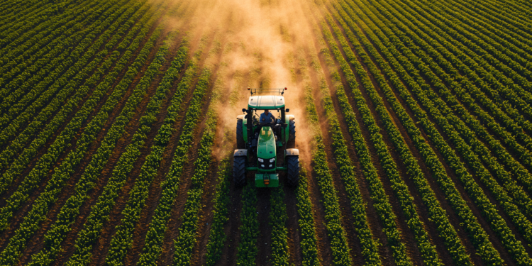 Agropecuária avança 11,7% e lidera crescimento da economia em 2025