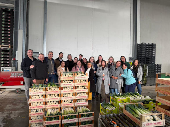 1imersao 11 03 2026 copiar