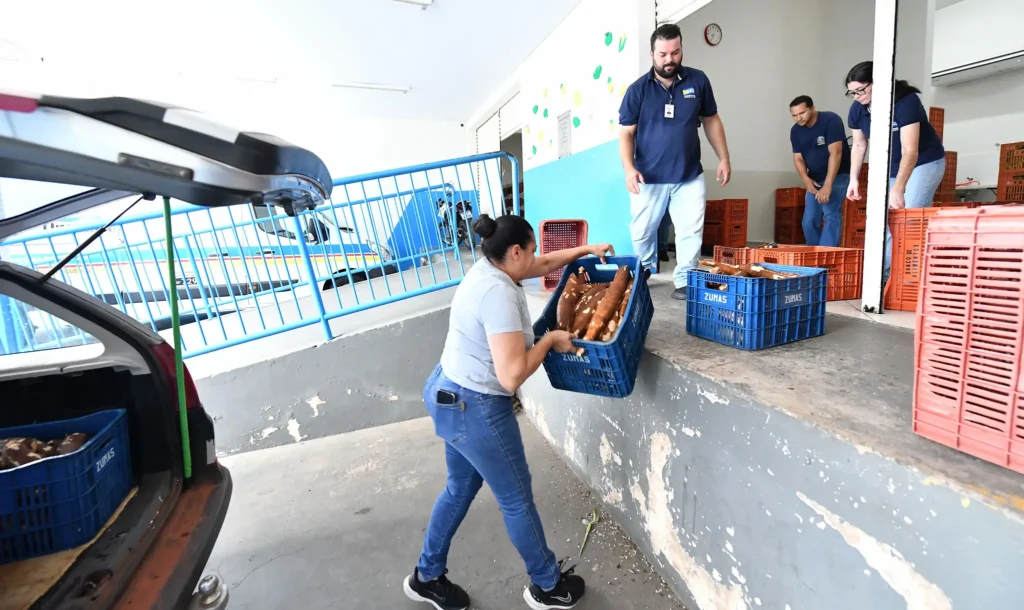 55111248767 cc8b5f0603 k copiar