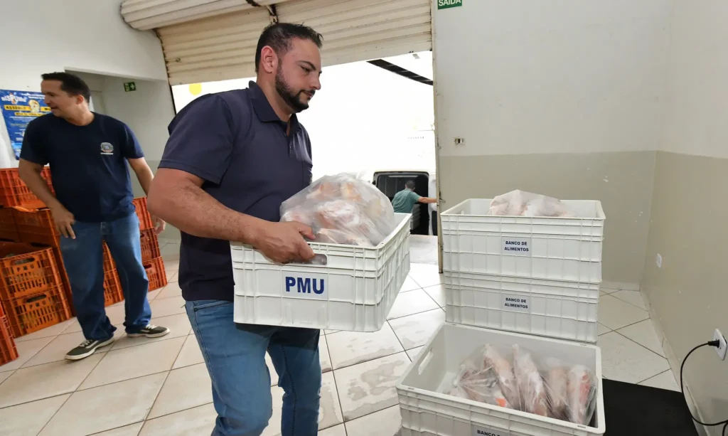 55112334503 68fe0977aa k copiar