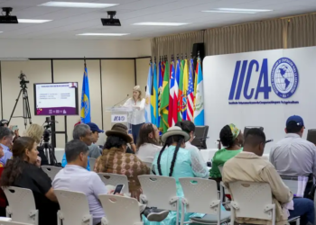 Sistema OCB e IICA discutem cooperação para fortalecer o agro nas Américas